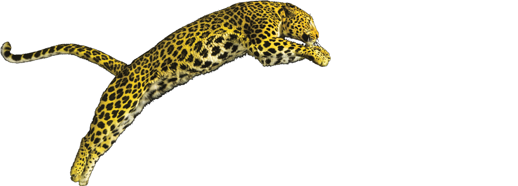 Locarno Offical Selection
